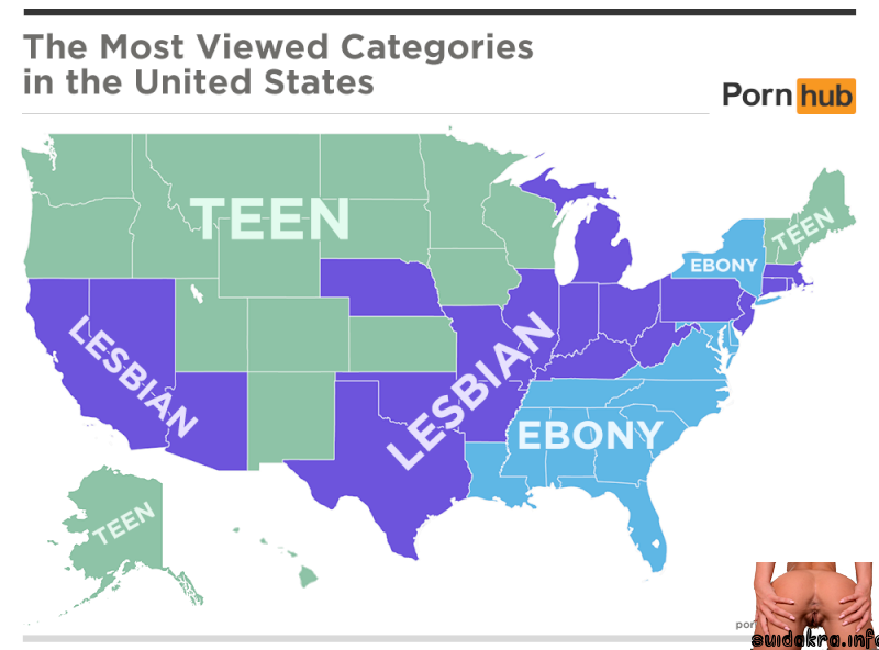 terms watched categories category insights searched pornhub maps states popular most each map searches state